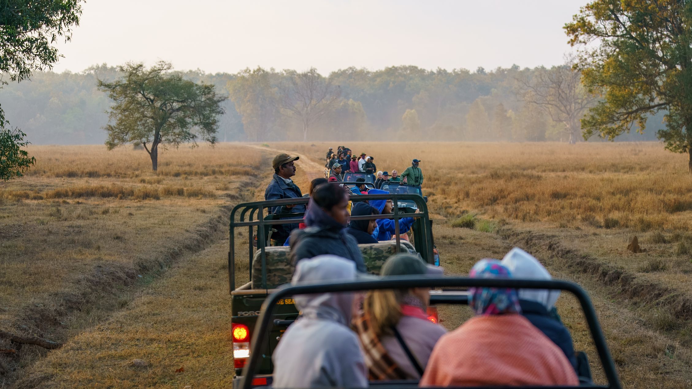Im Kanha NP dürfen 25 Autos in die Corearea. Die Driver sprechen sich natürlich über Handy ab.